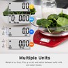 Etekcity Báscula de cocina de alimentos de 0,1 g, tazón,