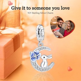 Rimgoris 925 Sterling Silver Charms for Women Bracelets Necklace Green Christmas Tree Women Easter Bunny & Egg Easter Egg Four Leaf Clover Friendship Wife Christmas Snowman Grinch, Silver, Cubic