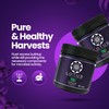 Grow Pro Series - Hydroponic Plant Nutrients and Fertilizer, Water