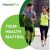 NaturesPlus PRO Optimized Curcumin Longvida 500 mg Capsules - Superior