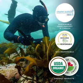 Varech - Fucus Flakes Seaweed - 250g - Canadian, Organic and Eco-Friendly Certified - Easy to use Sea Vegetable - Hand harvested - Un Ocean de Saveurs