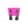 Connect Workshop Consumables 30412 Auto Blade Fuse, 4 A, Pink,