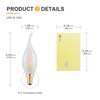 Frosted E12 Candelabra LED Bulbs- Dimmable E12 Light Bulb 40