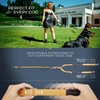 Premium Double Leash for Two Dogs – Shock Absorbing Anti
