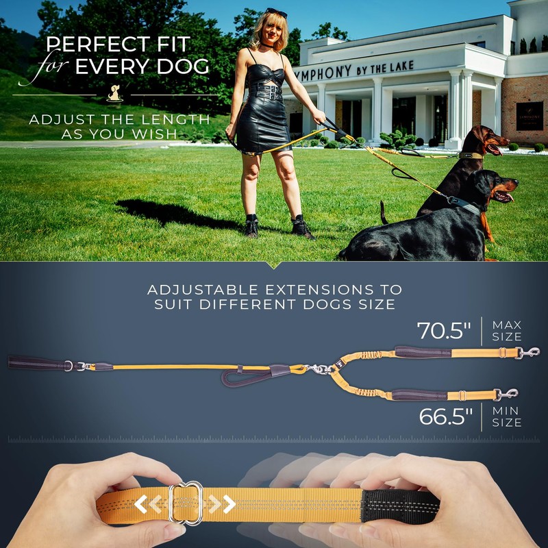 Premium Double Leash for Two Dogs – Shock Absorbing Anti