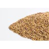 Sandwich Booster Sprouting Seeds, Mumm's | Large Size: 250 Grams