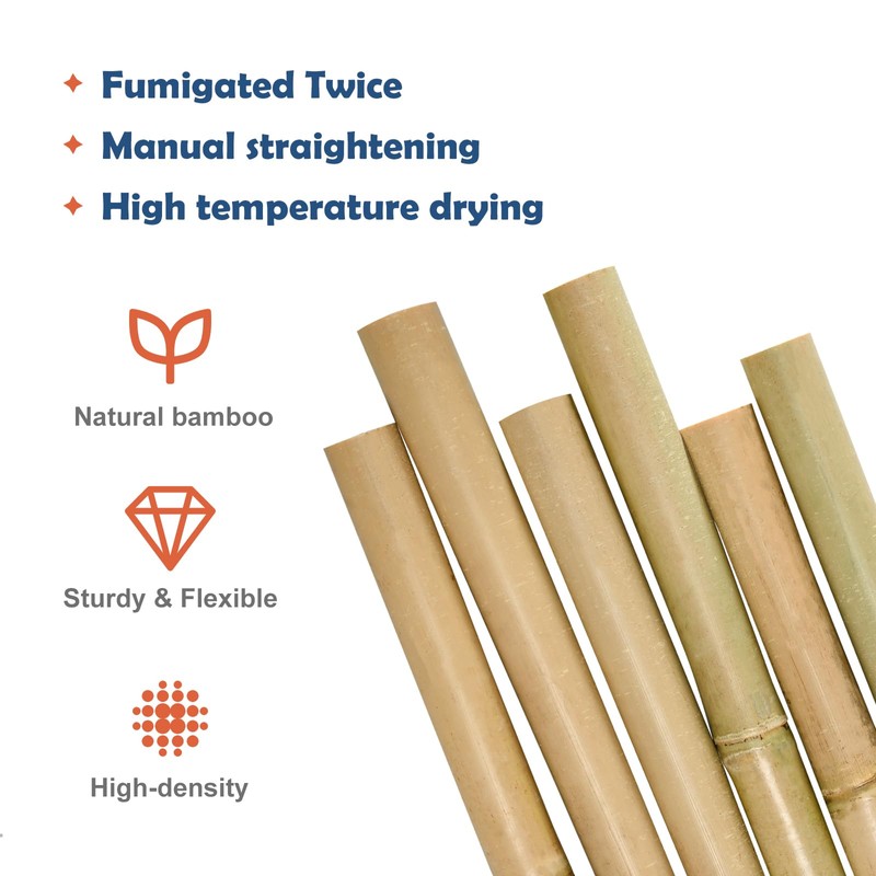 COLOtime 8FT Bamboo Stakes Plant Stakes 1 Inch Thick Diameter