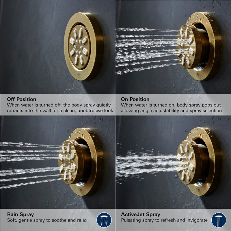 GROHE 26744A00 Aqua 2-Setting Rainshower Body Spray Head, Rain Jet