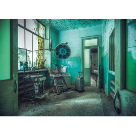 Ravensburger Puzzle 12000177 - The Madhouse, Lost Places - 1000 Pieces Puzzle for Adults and Children from 14 Years, Lost Places Puzzle