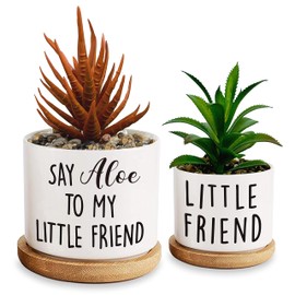 Msyueos Say Aloe to My Little Friend, Funny Ceramic Succulent Planter Pots with Bamboo Tray Set of 2, for Office Home Windowsill Gift (Not Including Succulents)