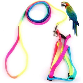 Pet Bird Harness and Leash with Buckle Adorable Rainbow Design Safe Parrot Leash Pet Harness Outdoor Adjustable Anti Bite Training Rope for Macaw Large Size Bird (Color, 1.0 * 120CM)