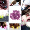 100PCS Durable Pet Cat Soft PVC Nail Cover Paw Claw