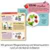 KOSMOS 657819 Fairy Strawberries Children's Experiment Set