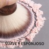 20 Brochas Maquillaje Profesional Con Estuche Alta Calidad Color Marrón