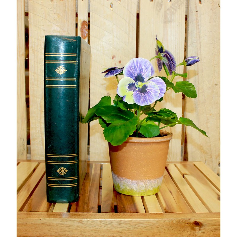 Worth Imports 10" Blue Pansy in 4" Pot Plant
