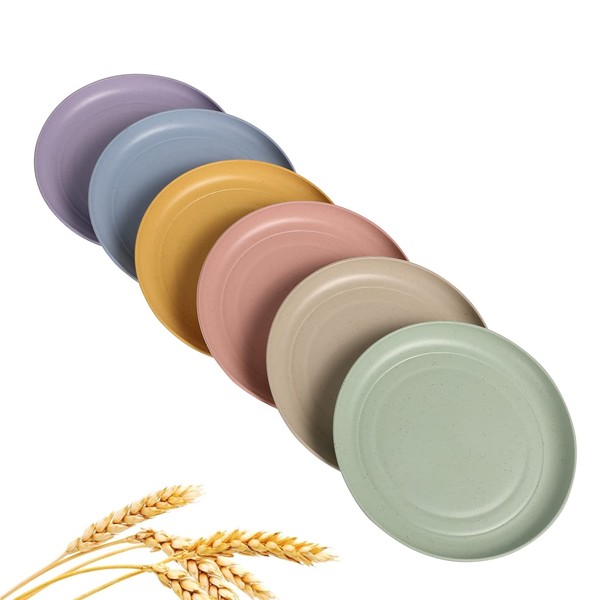 CAMBUY CAMBUY Wheat Straw Plates Lightweight Unbreakable Dinner Dishes Plates