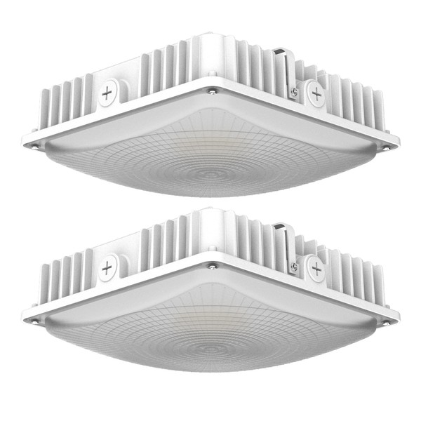 Deojoy 2 Pack LED Canopy Light Fixture,HID/HPS Replacement, 9.5" x