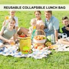 1 Pack Insulated Lunch Bags with Drawstring, Foldable Waterproof Lunch