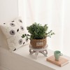 VZODESR White Wooden Plant Stands Indoor Riser Round Display Stands