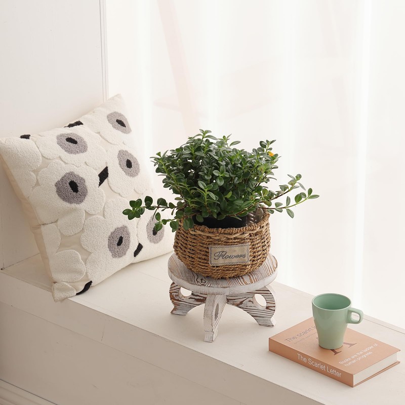 VZODESR White Wooden Plant Stands Indoor Riser Round Display Stands