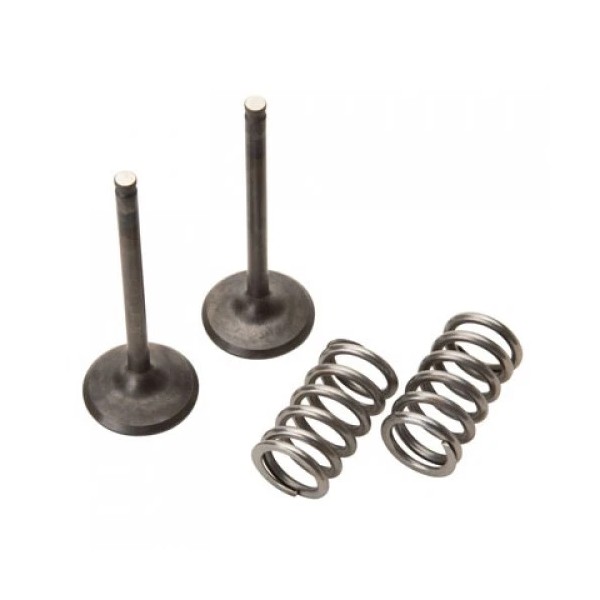 Pro X Steel Exhaust Valve/Spring Kit 28.SES2424-1 for ATV/UTV