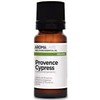 BIO - Provence Cypress Essential Oil - 10mL - 100%