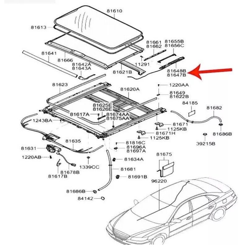 EACCESSORIES EA Sunroof Guide Left Right Rail Repair Kit (Panel/Glass