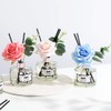 396 st. Rose Flower Reed Diffuser, Red Rose(Also Known as