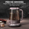 ICOOKPOT Titanium Hot Tea Maker Glass Electric Kettle with Infuser