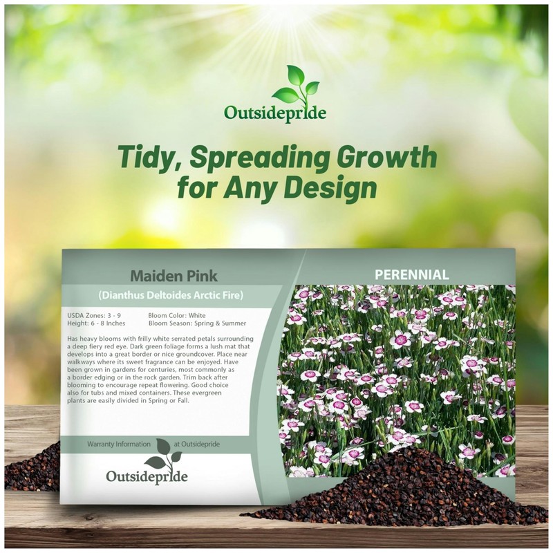 Outsidepride Maiden Pink White Dianthus Seeds for Planting - 5000