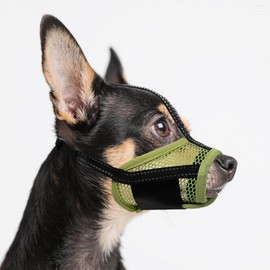 JOYPAWS Dog Muzzle, Air Mesh & Reflective Straps for Extra Small Dogs - Prevent Chewing/Biting, Allows Panting & Drinking - German Shepherd, Collie, Retriever Green S