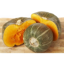 TomorrowSeeds - Burgess Buttercup Squash Seeds - 20+ Count Packet - for 2024 Green Pumpkin Japanese Kabocha Winter Blue Gourd Non GMO Winter