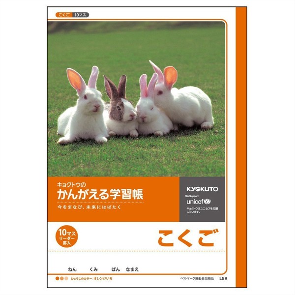 Kyokuto L8R Easy Learning Book, 10 Squares