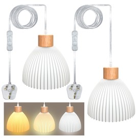 2 Pack Plug in Pendant Light Cord 5M Transparent Cable Vintage Hanging Light with Plug E27 Lamp Holder Industrial Hanging Light Kit with 3D Lampshade Plug in Ceiling Light with Switch for Kitchen