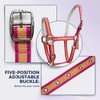JWODVNTH Adjustable Horse Halter with PP Webbing, Durable Horse Halters