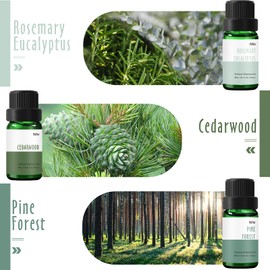 Fragrance Oil, MitFlor Woodland Set of Scented Oils, Soap & Candle Making Scents, Essential Oils for Diffusers for Home, Woody Aromatherapy Oil Gift Set, Pine Forest, Cedarwood, Frosty Fir & More