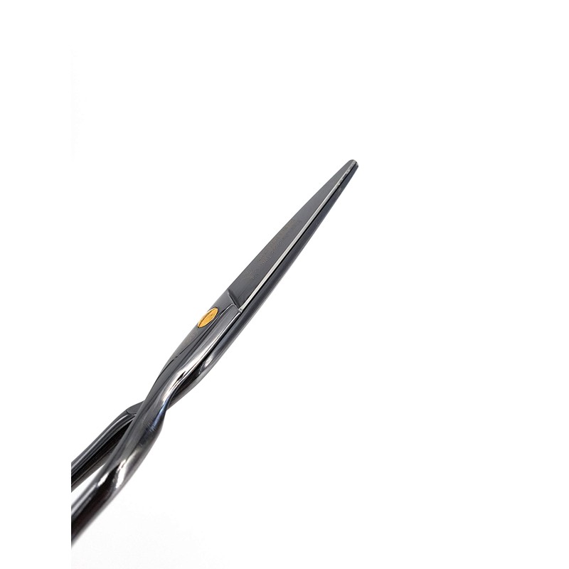 NTS-Solingen Professional Hairdressing Scissors Ergonomic Rustproof Titanium Coated 5.5 Inches
