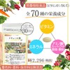 マルチビタミン ミネラル 野菜 果物 酵母 アメリカ サプリ 30日分 自然 天然