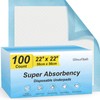 100 Count 22” x 22” Super Absorbency Disposable Underpads, Leakproof