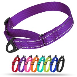 Collardirect Reflective Martingale Dog Collar Nylon Training Collars for Small Medium Large Dogs Puppy Pink Orange Green (M, Neck Size 13"-18", Purple)