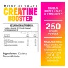 Suplemento En Polvo Creatina Creatine Booster Amplifier® Sin Sabor
