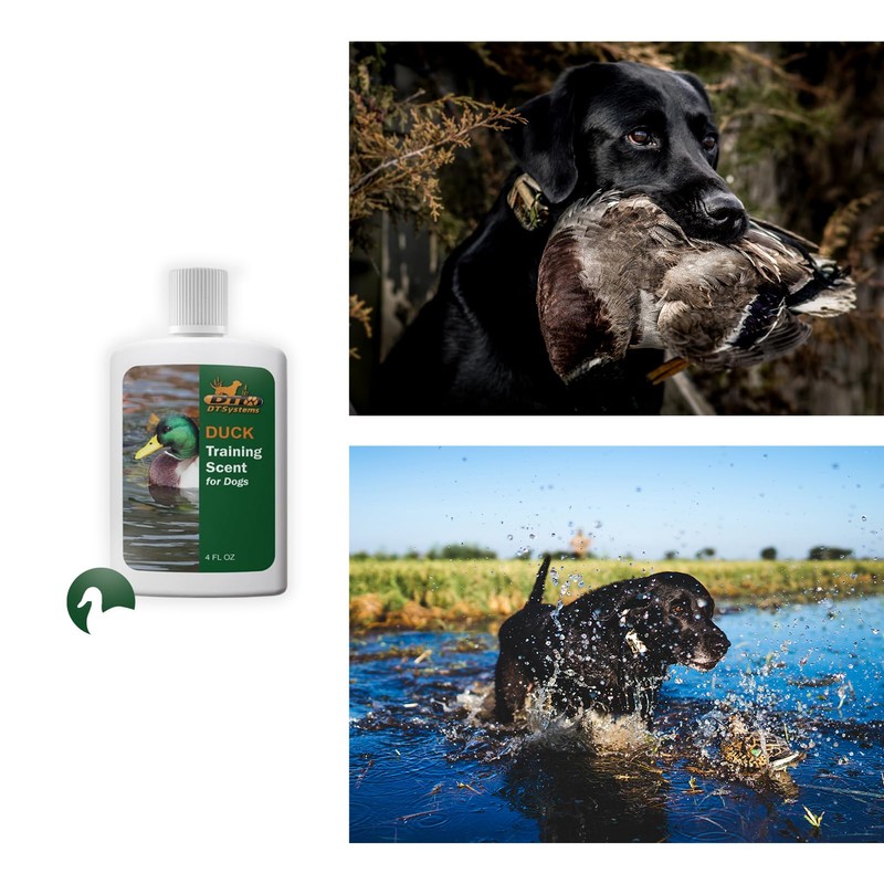 Training Scent Duck 4oz