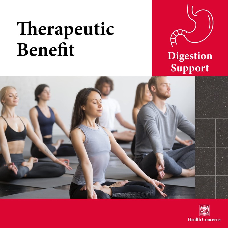 Health Concerns - Six Gentlemen - Digestion Support - 90