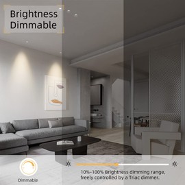 Aisilan 4 inch 12W Recessed Lighting Spotlight Dimmable Downlight Warm White 3000K Adjustable Angle CRI97 Focus lamp for Living Room Bedroom Office Indoor