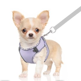 DoggieKit Dog Harness for Small Medium Dogs No Pull Adjustable Step in Puppy Harness and Leash Set,Reflective Breathable Mesh Pet Harnesses Soft Padded Vest for Dogs Cats Easy to Put on
