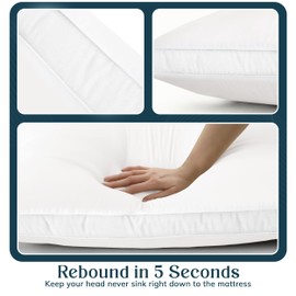 LUX Décor Bed Pillows for Sleeping - Pillows Queen Size Set of 2 - Hotel Quality Gusseted Down Alternative Pillows for Back, Stomach or Side Sleepers (White, 26x18)