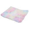 2 in 1 Pet Cat Mat Bed Colorful Cushion Pad