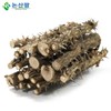 국산 엄나무 음나무 1단 묶음 Domestic Umnamu (Korean Wisteria) 1st