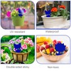 Fruit Fly Traps, 60 Pack Blue Sticky Traps, Fungus Gnat