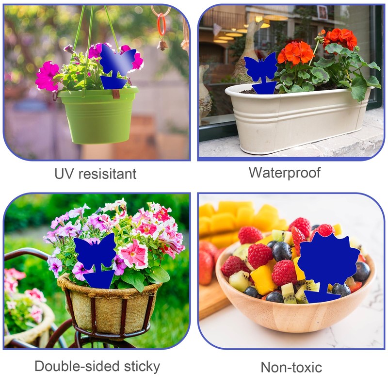 Fruit Fly Traps, 60 Pack Blue Sticky Traps, Fungus Gnat